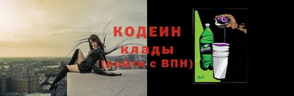 крисы Богородск