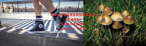 крисы Богородск