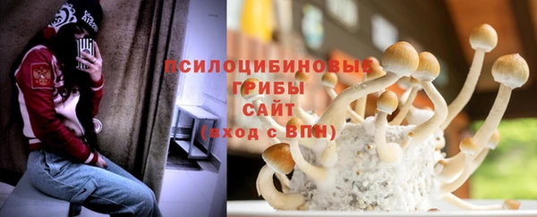 крисы Богородск