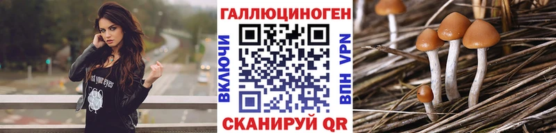hydra ССЫЛКА  Кузнецк  даркнет какой сайт  сколько стоит  Галлюциногенные грибы мицелий 
