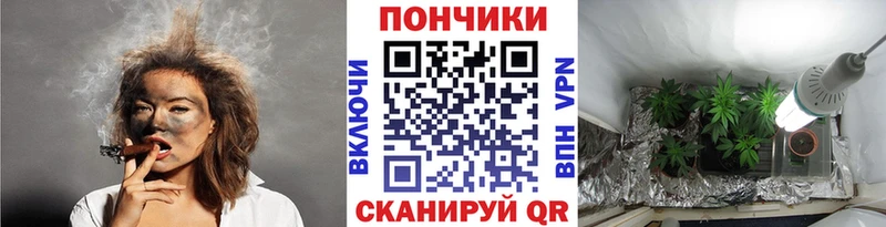 Бошки Шишки сатива Кузнецк